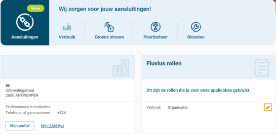 Schermafdruk van landingspagina voor professioneel account op Mijn Fluvius met focus op potlood-icoontje bij Fluvius-diensten